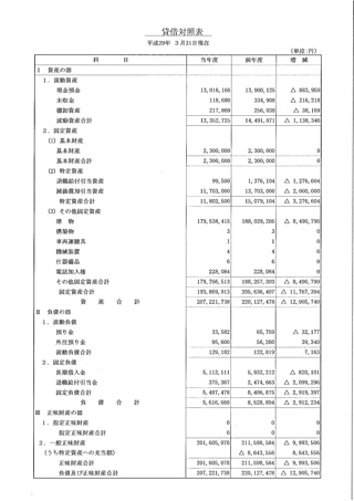 28年度　貸借対照表